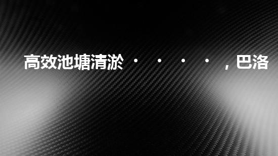 高效池塘清淤，巴洛仕設(shè)備助您一臂之力